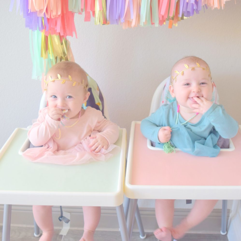 Six Month Pictures Twin Girls with Pastel Tassel Garland