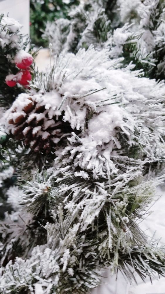 add snow bond to your tree