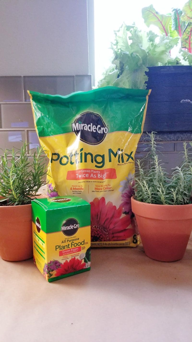 miracle grow soil miracle potting mix miracle gro plant food bonnie plants walmart bonnie plants how to make an herb garden in the kitchen DIY floating plant wall