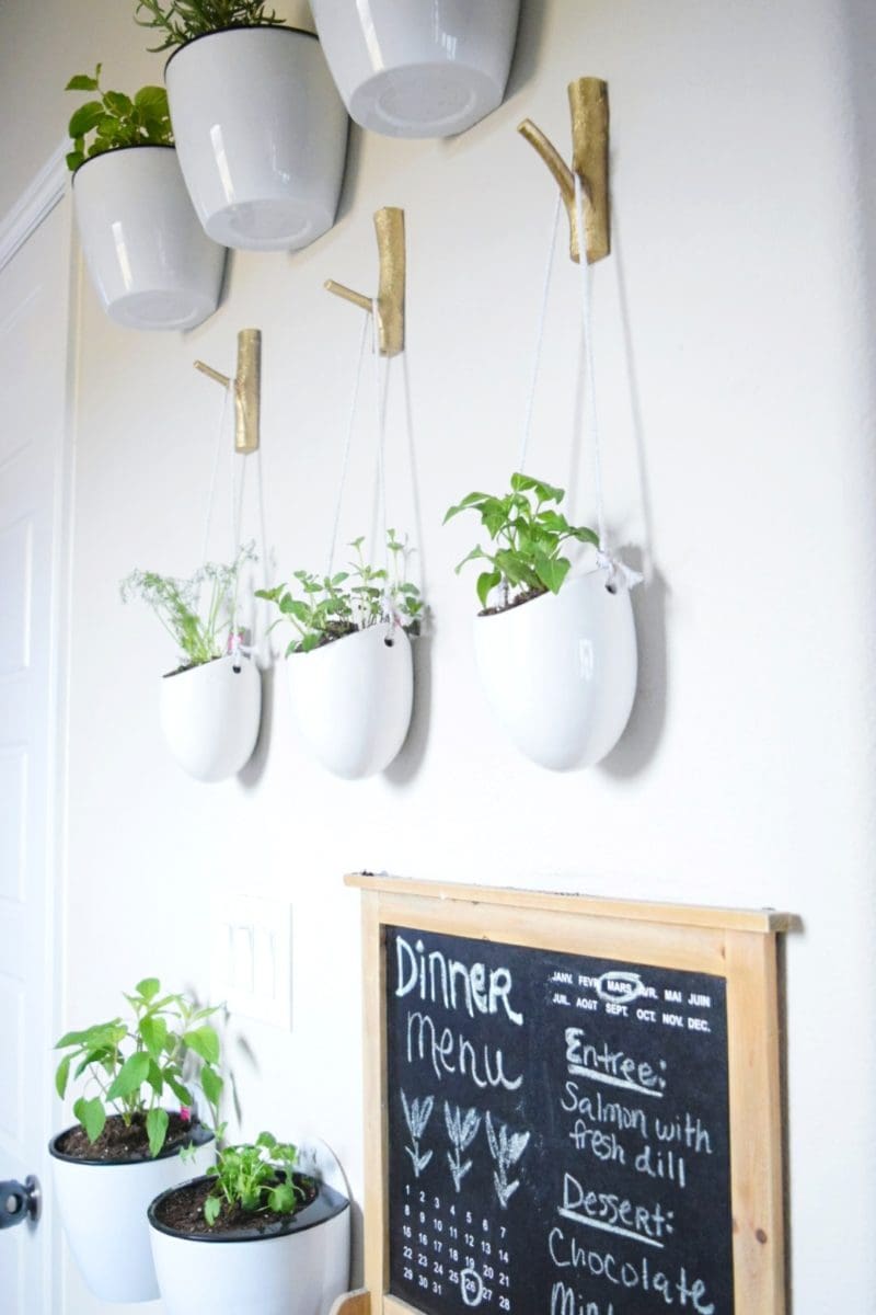 How to make a floating plant wall herbs and vegetables kitchen plants hanging vase kitchen decor bonnie plants miracle gro at walmart werethejoneses.com