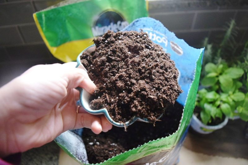 miracle gro potting soil miracle gro potting mix plant soil indoor potting mix bonnie plants walmart miracle gro how to make a foating plant wall