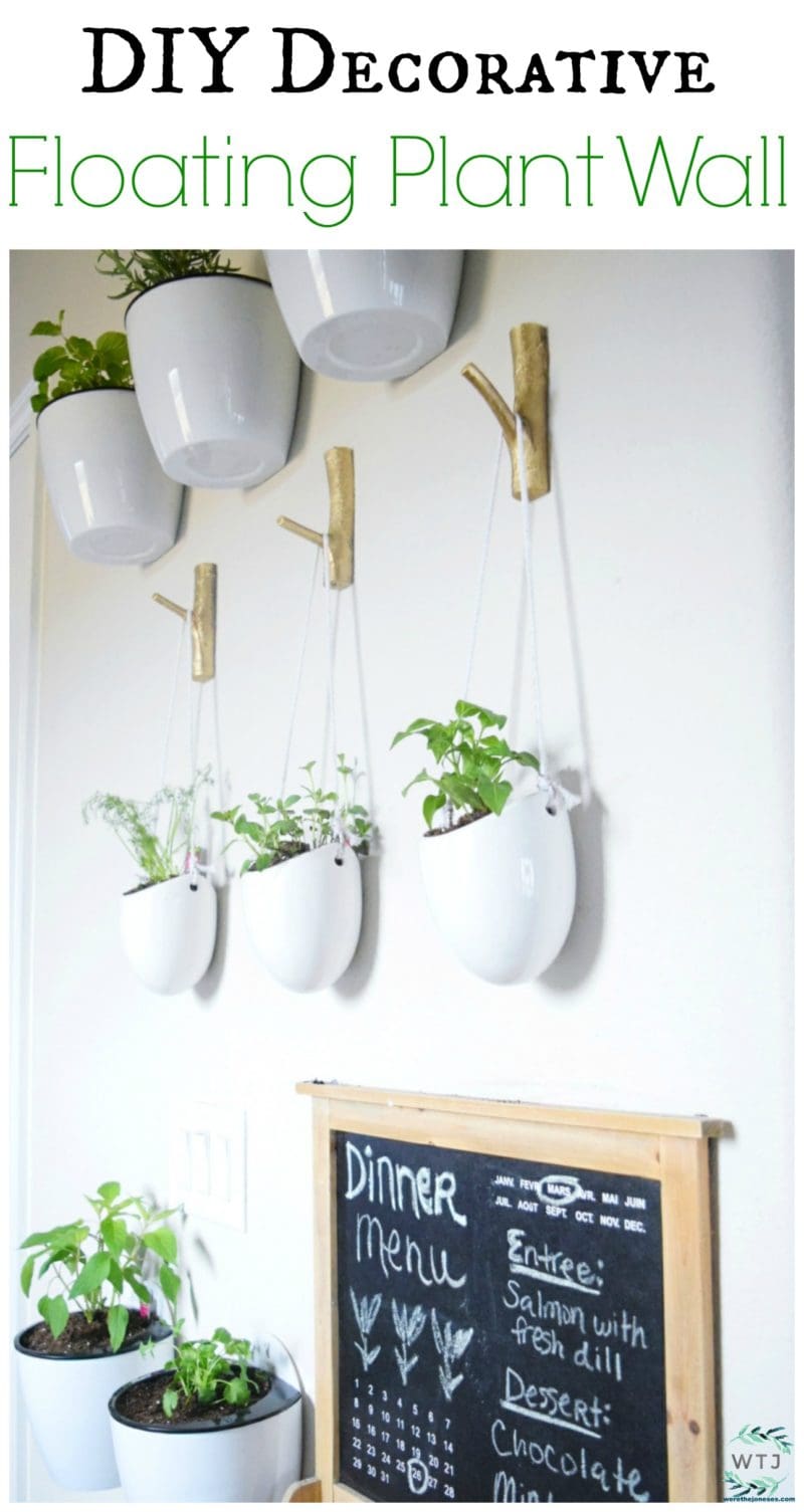 DIY Decorative floating plant wall indoor plant wall decorate wall with herbs and vegetables floating plants werethejoneses.com