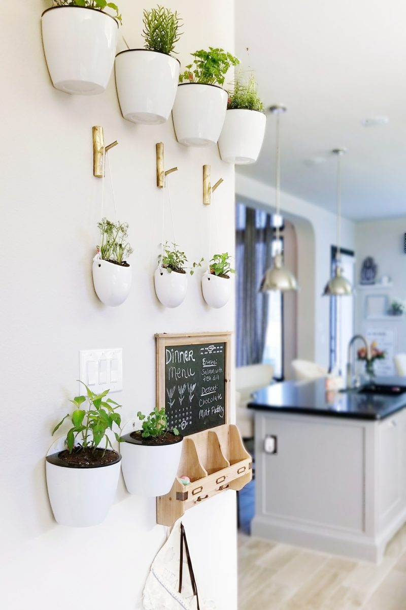 How to make a floating plant wall herbs and vegetables kitchen plants hanging vase kitchen decor bonnie plants miracle gro at walmart werethejoneses.com