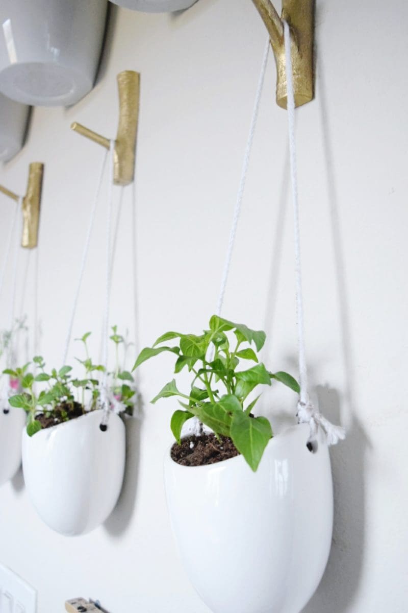 Floating plant wall DIY plant containers hanging plant containers hanging vases miracle gro soil bonnie plants