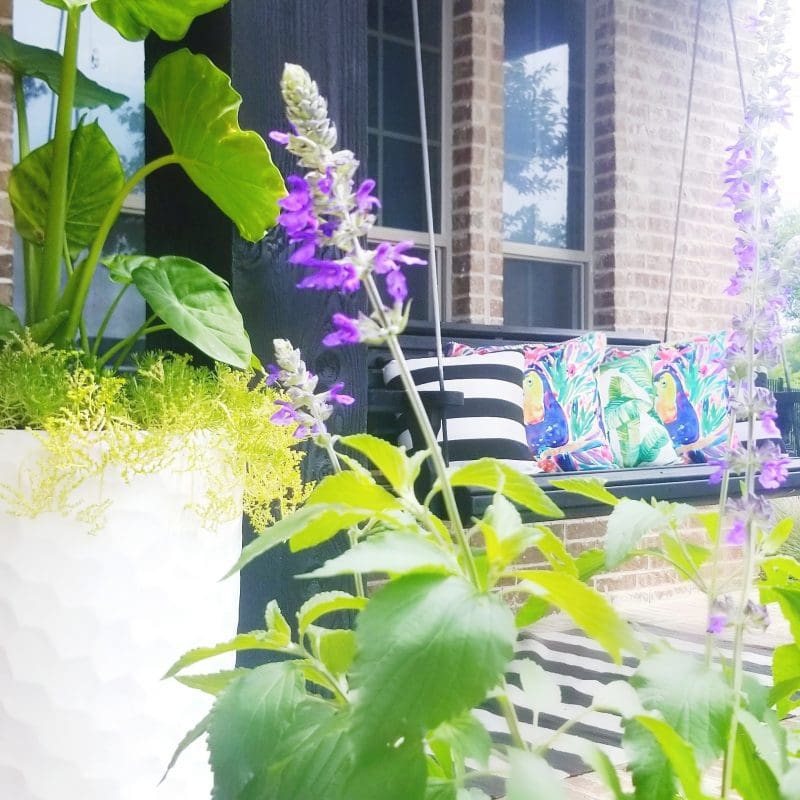 front porch swing with pillows and tropical flowers