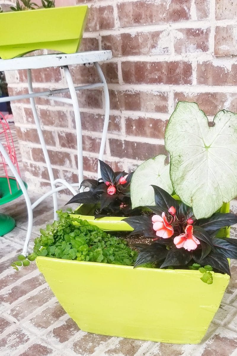 bright and colorful front porch plants and decor