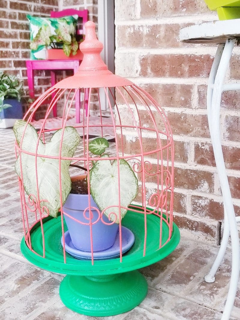 colorful and bright planter and front porch decor