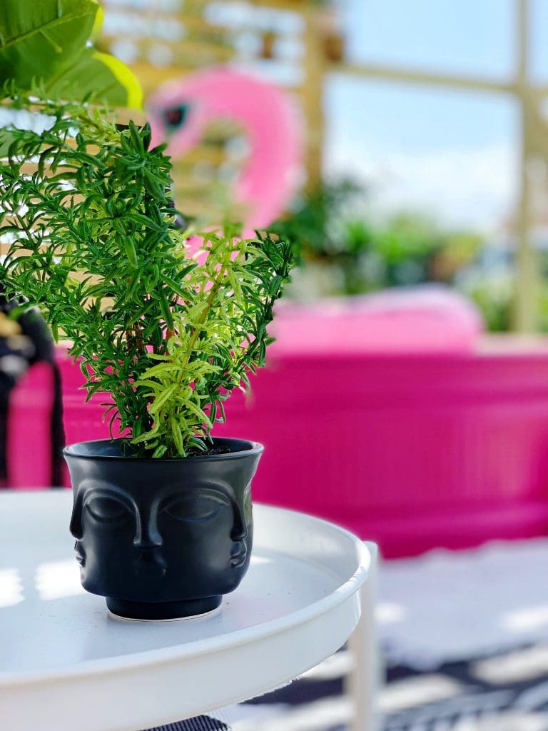 faux plant in pot with faces on outdoor deck with pink stocktank pool