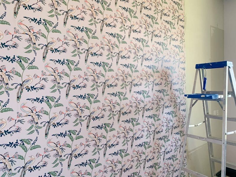 milton and king bird of paradise pink lady wallpaper in office makeover design