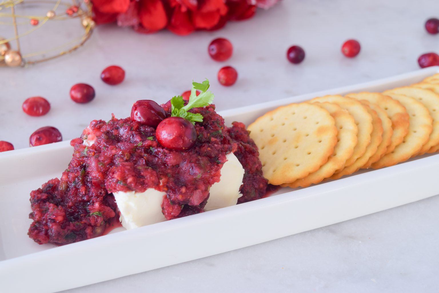 Fresh Cranberry Salsa | 5 Minute Holiday Appetizer Recipe » We're The ...